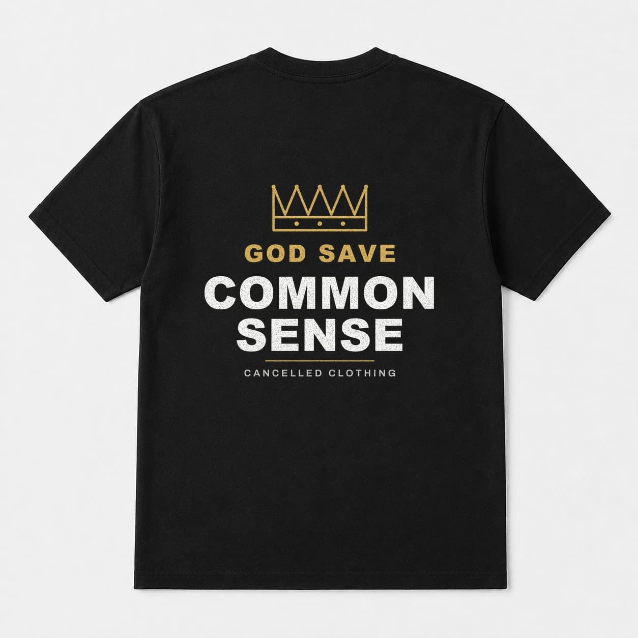 God Save Common Sense worn